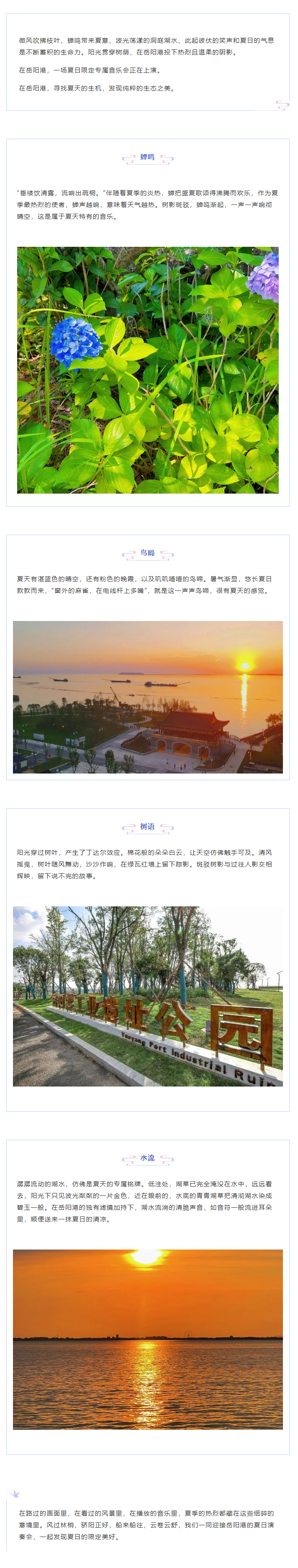 【夏日演奏會(huì)】在岳陽(yáng)港，聆聽(tīng)夏天的聲音.png